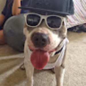 Meet your Posher, Victor